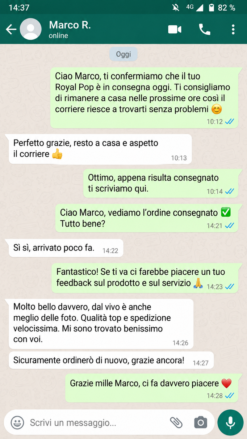 Chat WhatsApp